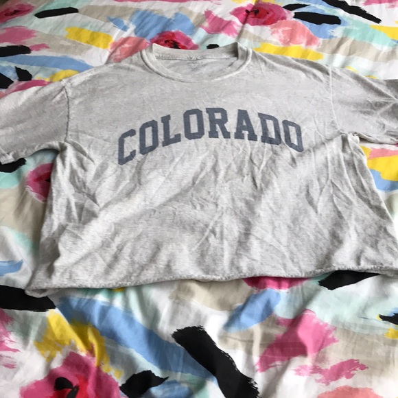 Brandy Melville Tops - brandy cropped t shirt